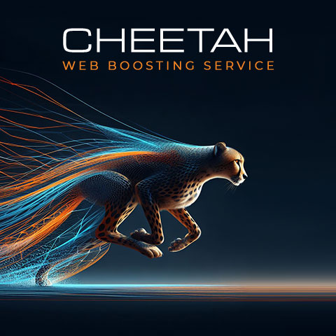 Cheetah Web Boosting Service – superslos.com - Slide